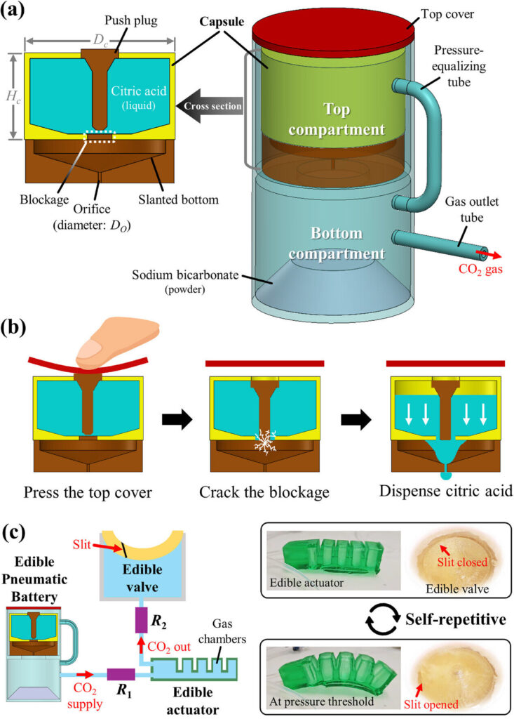 Soft robot equipped with edible pneumatic battery and actuator