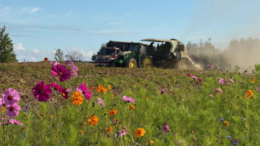 McCain launches ‘Farm of the Future’ in UK to test regenerative practices