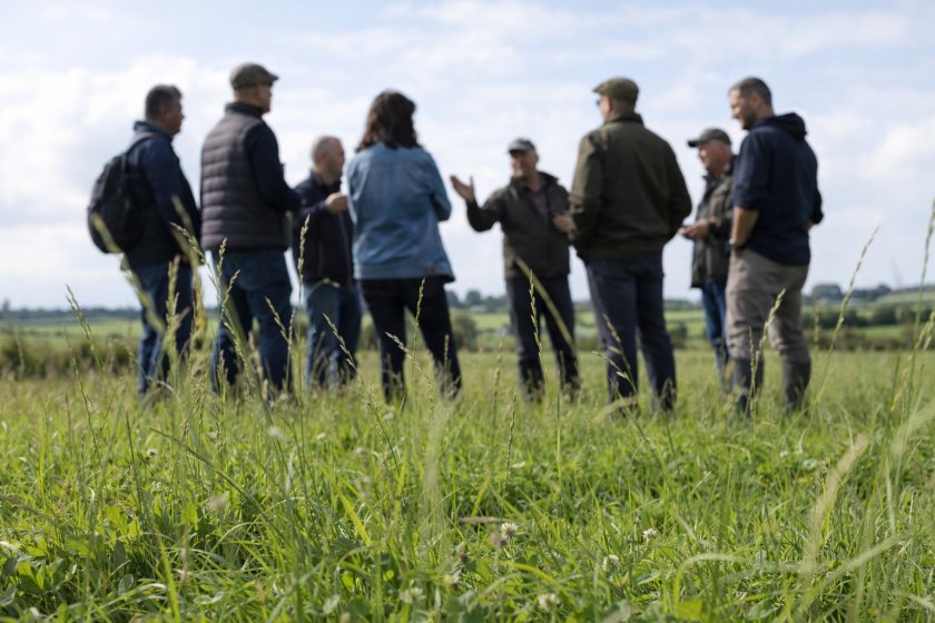 Government calls on farmers to help design new £30m fund
