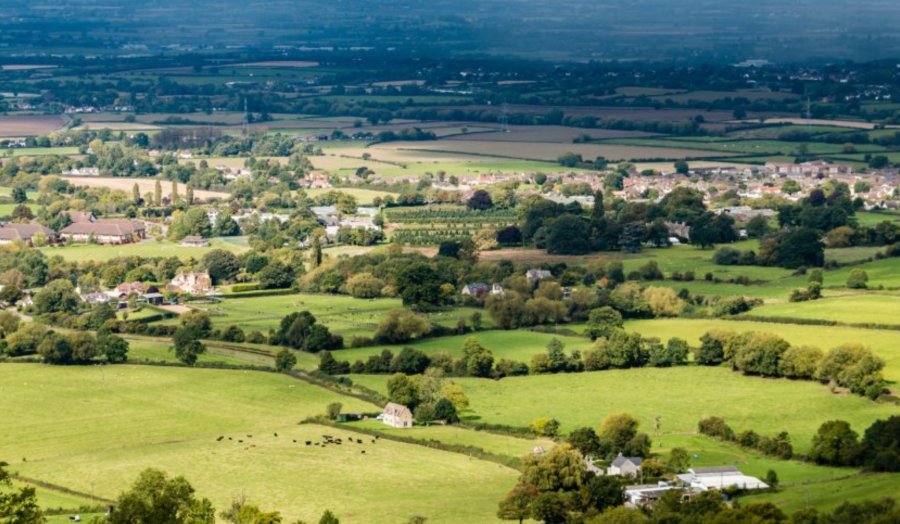 Government cuts SFI options, caps payments on reset at £100,000